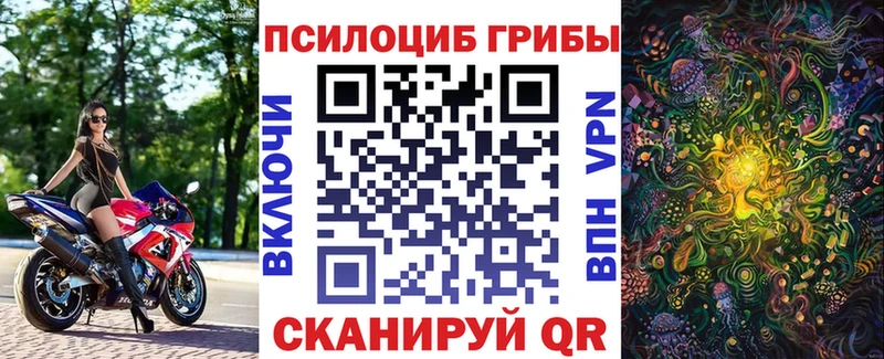 купить   Брянск  Галлюциногенные грибы ЛСД 