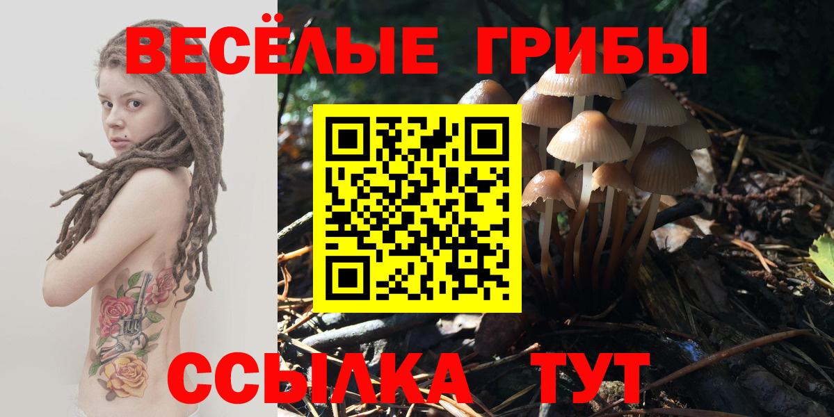 Галлюциногенные грибы Cubensis Брянск