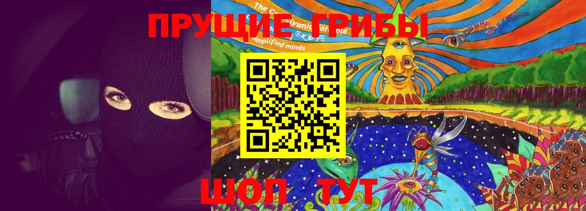 Брянск  Галлюциногенные грибы ЛСД  Вход с VPN 